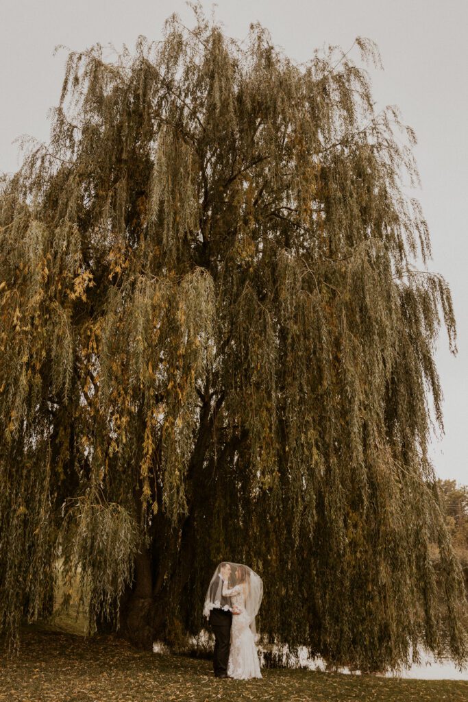 Wedding Couple at The Timberlodge at Arrowhead in Buffalo NY